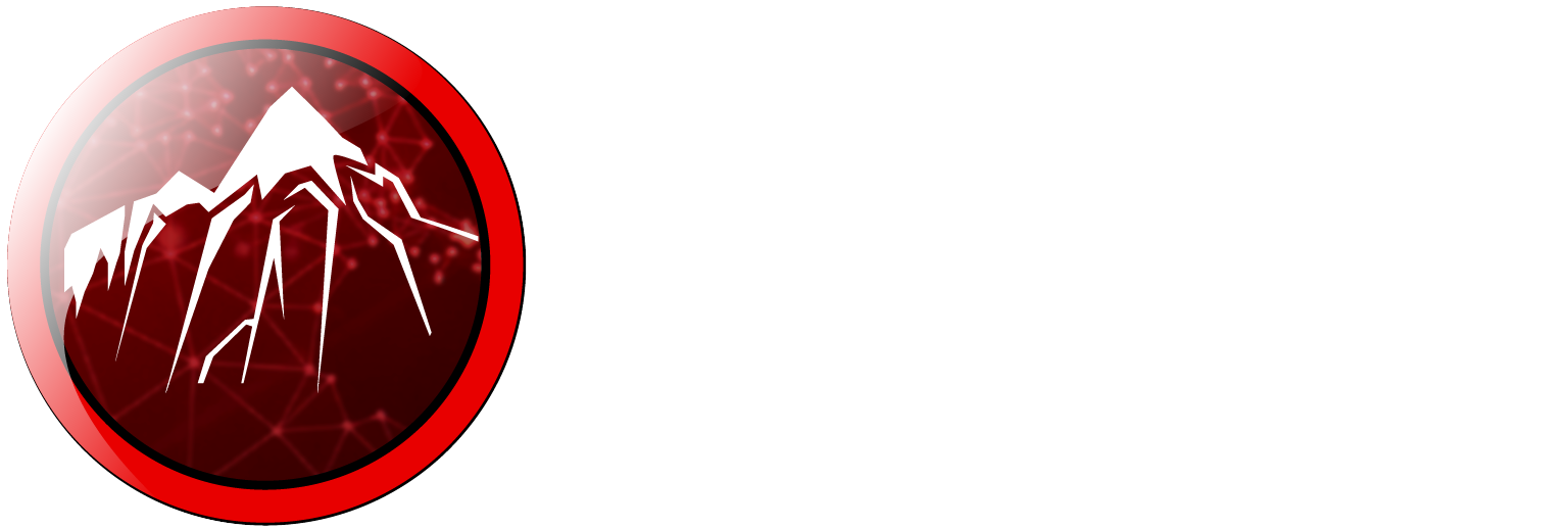 Northern Perspective Logo